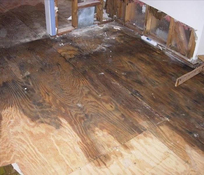 water damaged floors